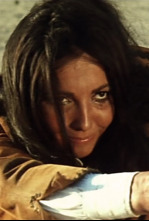 Imagen de 30 Winchester para El Diablo - 4