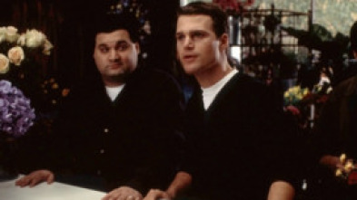 Imagen de El soltero - 5