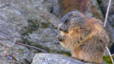 Imagen de Lugares salvajes de Europa  - 6