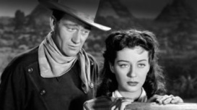 Imagen de El ángel y el pistolero - 5