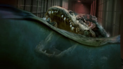 Imagen de The Flood - 5