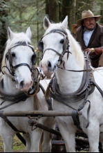 Imagen de La diligencia 2 - 4