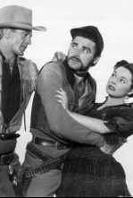 Imagen de Dallas, ciudad fronteriza - 4