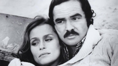 Imagen de Gator, el confidente - 5