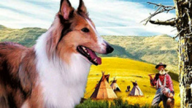 Imagen de Las colinas pintadas - 5