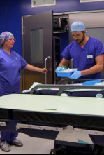 Imagen de Desastres estéticos (T4): Ep.1 - 4