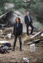 Imagen de Silent Witness... (T23): Ep.7 Hope (1ª parte) - 4