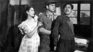 Imagen de El bruto - 5