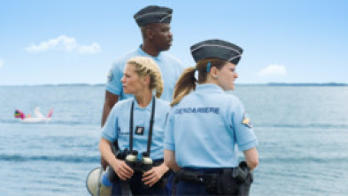 Imagen de ¡Tiburón a la vista! - 5