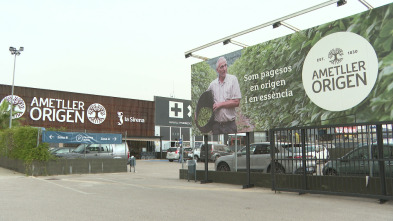 Repor (T2024): Patios traseros
