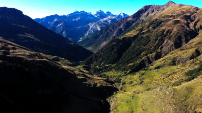 Imagen de El escarabajo verde: Montañas de oro blanco - 3