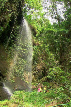 Imagen de El escarabajo verde: Niños payeses - 2