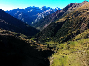 Imagen de El escarabajo verde: Montañas de oro blanco - 1
