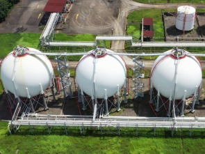 Imagen de El escarabajo verde: Primer elemento - 1