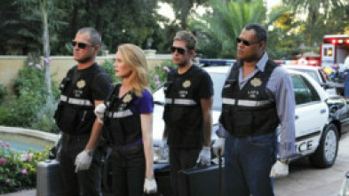 Imagen de C.S.I.: Las Vegas (T11): Ep.6 A sangre fría - 5