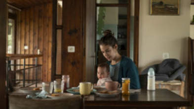 Imagen de Cinco lobitos - 5