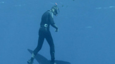 Imagen de Familia de cachalotes - 5