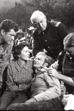 Imagen de El rifle que conquistó el Oeste - 4