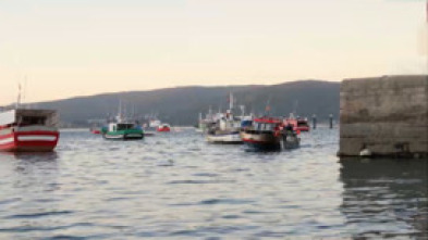 Imagen de Ecce perdomo - 5