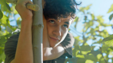 Imagen de Entre figueres - 5