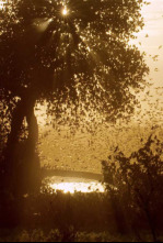 Imagen de Érase una vez en Tsavo: Época de abundancia - 4