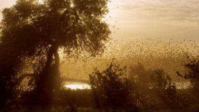 Imagen de Érase una vez en Tsavo: Supervivencia - 5