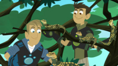 Imagen de Els germans Kratt (T5): Ep.10 - 5