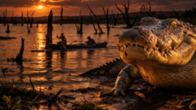 Imagen de Human and Wildlife Conflict Ep. 1 - 5