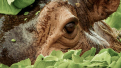 Imagen de Naturaleza maravillosa y salvaje - 15