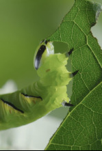 Imagen de Momentos magicos. El hechizo de la naturaleza - 4