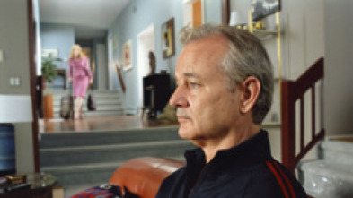 Imagen de Flors trencades - 5