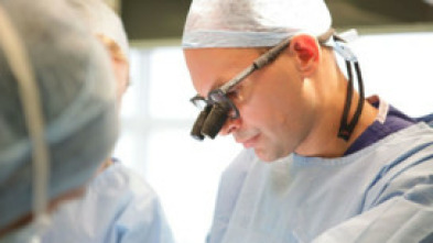 Imagen de Desastres estéticos (T2): Ep.4 - 5