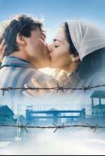 Imagen de Bau, artista en guerra - 6