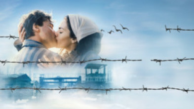 Imagen de Bau, artista en guerra - 7