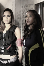 Imagen de Terms & Conditions - 4