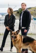 Imagen de Hudson y Rex (T5): Ep.16 Rumbo al norte - 5