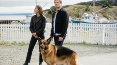 Imagen de Hudson y Rex (T5): Ep.9 Testigo Rexperto - 7