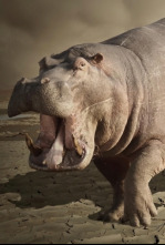 Imagen de La conservación del cazador Ep 1 Con Alberto Monje Luna - 4