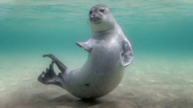 Imagen de Mares en movimiento  - 5