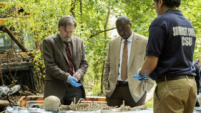 Imagen de The Sinner (T1): Ep.5  - 5