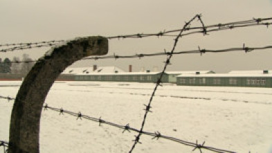 Imagen de Adiós a la vida - 5