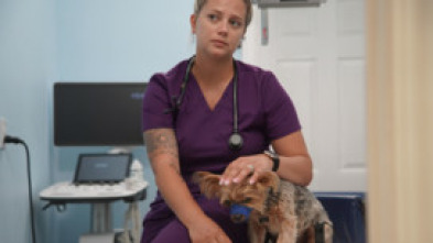 Imagen de Critter fixers: Veterinarios rurales  - 7