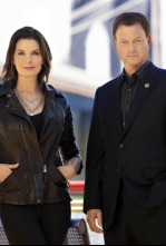 Imagen de C.S.I. Nueva York (T7): Ep.15 El justiciero - 4