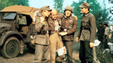 Imagen de Cerco roto - 5