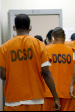 Imagen de El sistema penal de...: Derecho a un abogado - 6