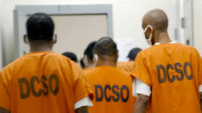 Imagen de El sistema penal de...: Derecho a un abogado - 7