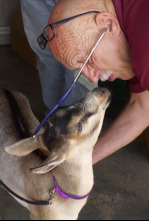 Imagen de El increíble doctor Pol: ¡Descomunal, Pol! - 5