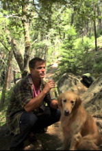 Imagen de Army Dog - 4