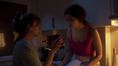 Imagen de Pringadas - 5