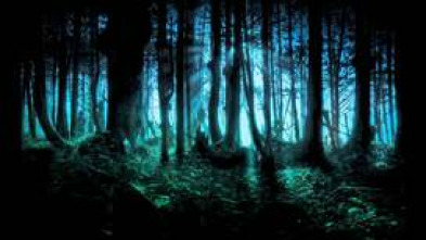 Imagen de Dia u (T1): Ep.3 Episodi 3 - 5